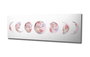 Wallity PC273 Lienzo Decorativo Multicolor 30 x 80 cm